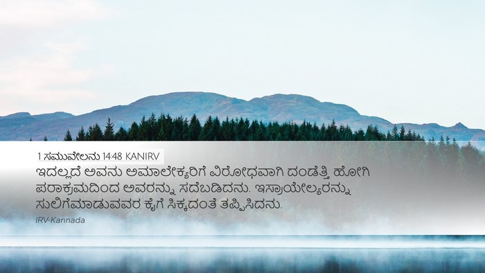 1 ಸಮುವೇಲನು 14:48 KANIRV Bible Verse Image
