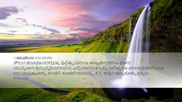 1 ಸಮುವೇಲನು 14:52 KANIRV Bible Verse Image