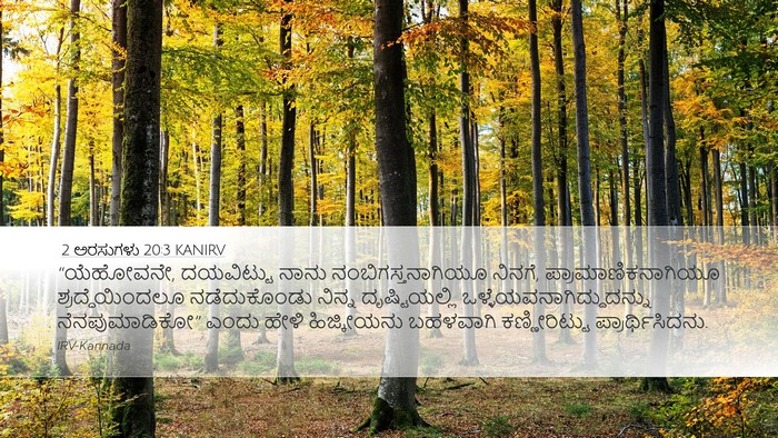 2 ಅರಸುಗಳು 20:3 KANIRV Bible Verse Image
