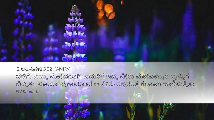 2 ಅರಸುಗಳು 3:22 KANIRV Bible Verse Image