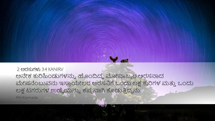 2 ಅರಸುಗಳು 3:4 KANIRV Bible Verse Image