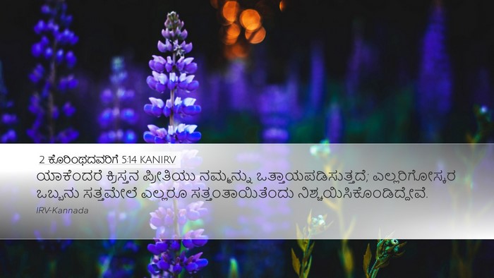 2 ಕೊರಿಂಥದವರಿಗೆ 5:14 KANIRV Bible Verse Image