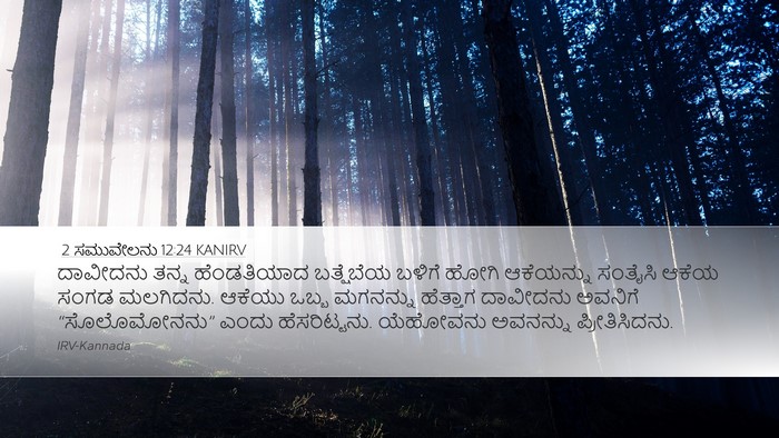 2 ಸಮುವೇಲನು 12:24 KANIRV Desktop Wallpaper - ದಾವೀದನು ತನ್ನ - Desktop Bible Verse Wallpaper