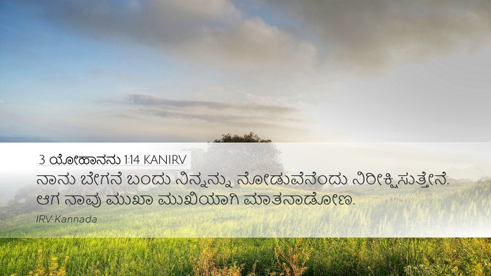 3 ಯೋಹಾನನು 1:14 KANIRV Bible Verse Image