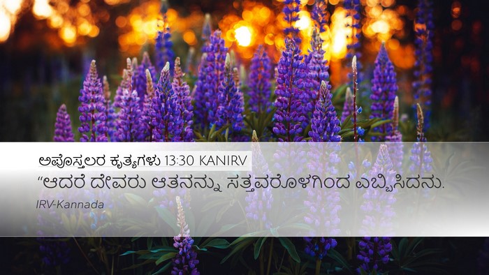 ಅಪೊಸ್ತಲರ ಕೃತ್ಯಗಳು 13:30 KANIRV Bible Verse Image