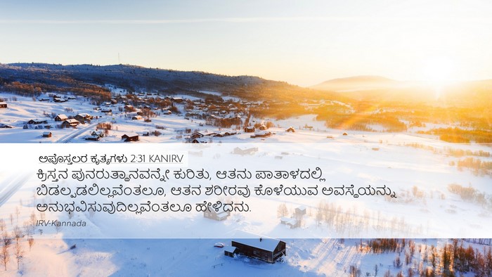 ಅಪೊಸ್ತಲರ ಕೃತ್ಯಗಳು 2:31 KANIRV Bible Verse Image