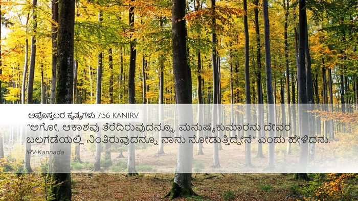 ಅಪೊಸ್ತಲರ ಕೃತ್ಯಗಳು 7:56 KANIRV Bible Verse Image