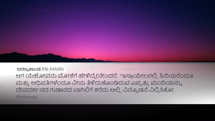 ಅರಣ್ಯಕಾಂಡ 11:16 KANIRV Bible Verse Image