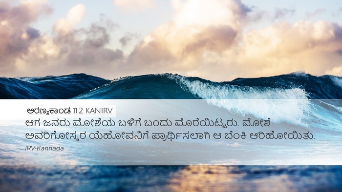 ಅರಣ್ಯಕಾಂಡ 11:2 KANIRV Bible Verse Image