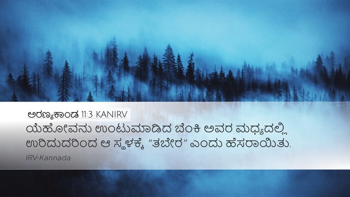 ಅರಣ್ಯಕಾಂಡ 11:3 KANIRV Desktop Wallpaper - ಯೆಹೋವನು ಉಂಟುಮಾಡಿದ - Desktop Bible Verse Wallpaper