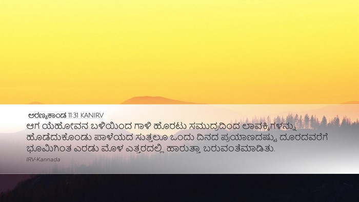 ಅರಣ್ಯಕಾಂಡ 11:31 KANIRV Desktop Wallpaper - ಆಗ ಯೆಹೋವನ ಬಳಿಯಿಂದ - Desktop Bible Verse Wallpaper