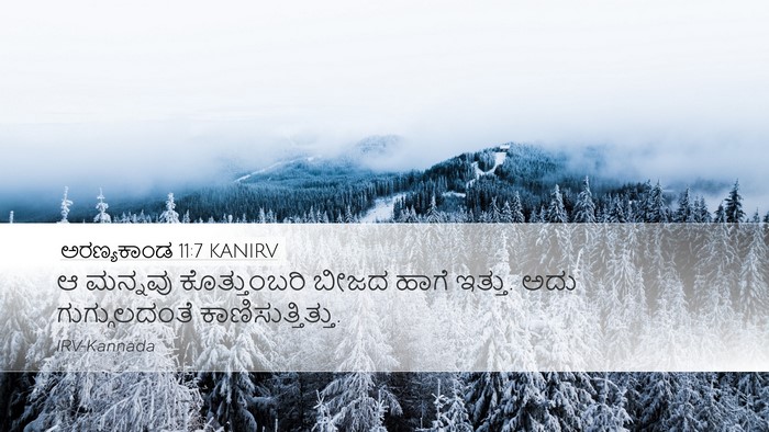 ಅರಣ್ಯಕಾಂಡ 11:7 KANIRV Desktop Wallpaper - ಆ ಮನ್ನವು - Desktop Bible Verse Wallpaper