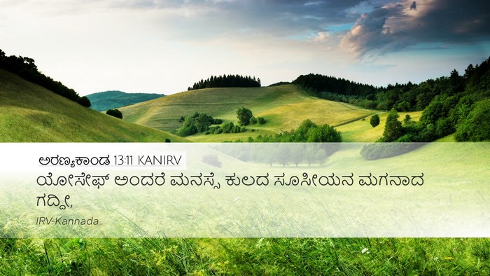 ಅರಣ್ಯಕಾಂಡ 13:11 KANIRV Bible Verse Image