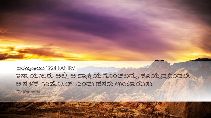 ಅರಣ್ಯಕಾಂಡ 13:24 KANIRV Desktop Wallpaper - ಇಸ್ರಾಯೇಲರು ಅಲ್ಲಿ - Desktop Bible Verse Wallpaper