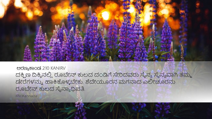 ಅರಣ್ಯಕಾಂಡ 2:10 KANIRV Bible Verse Image