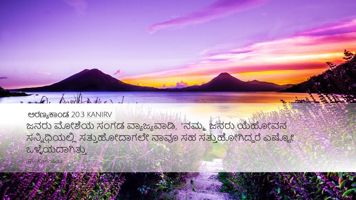 ಅರಣ್ಯಕಾಂಡ 20:3 KANIRV Bible Verse Image