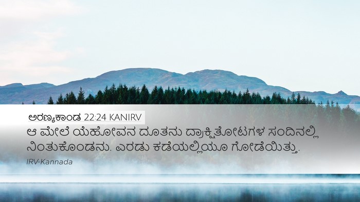ಅರಣ್ಯಕಾಂಡ 22:24 KANIRV Desktop Wallpaper - ಆ ಮೇಲೆ ಯೆಹೋವನ - Desktop Bible Verse Wallpaper