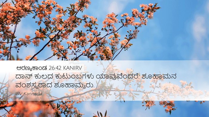 ಅರಣ್ಯಕಾಂಡ 26:42 KANIRV Desktop Wallpaper - ದಾನ್ ಕುಲದ - Desktop Bible Verse Wallpaper