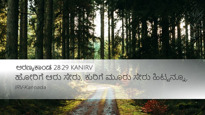 ಅರಣ್ಯಕಾಂಡ 28:29 KANIRV Desktop Wallpaper - ಹೋರಿಗೆ ಆರು ಸೇರು, - Desktop Bible Verse Wallpaper