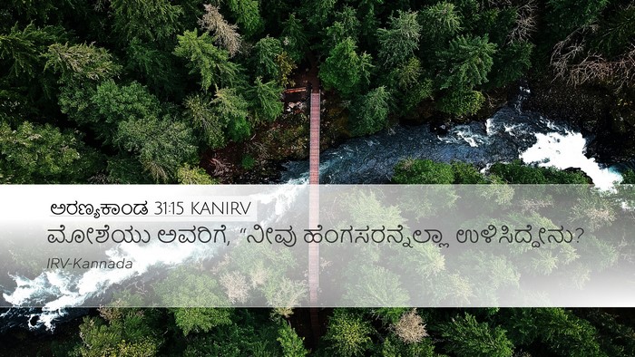 ಅರಣ್ಯಕಾಂಡ 31:15 KANIRV Bible Verse Image