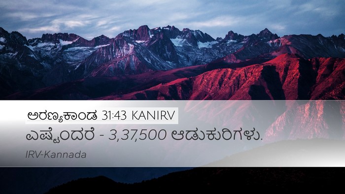 ಅರಣ್ಯಕಾಂಡ 31:43 KANIRV Desktop Wallpaper - ಎಷ್ಟೆಂದರೆ - 3,37,500 - Desktop Bible Verse Wallpaper