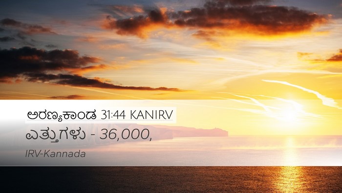 ಅರಣ್ಯಕಾಂಡ 31:44 KANIRV Desktop Wallpaper - ಎತ್ತುಗಳು - - Desktop Bible Verse Wallpaper