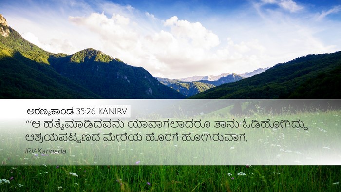 ಅರಣ್ಯಕಾಂಡ 35:26 KANIRV Desktop Wallpaper - “‘ಆ ಹತ್ಯೆಮಾಡಿದವನು - Desktop Bible Verse Wallpaper