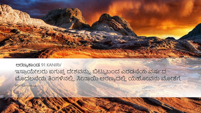 ಅರಣ್ಯಕಾಂಡ 9:1 KANIRV Bible Verse Image