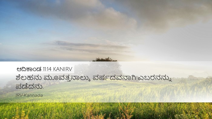 ಆದಿಕಾಂಡ 11:14 KANIRV Desktop Wallpaper - ಶೆಲಹನು - Desktop Bible Verse Wallpaper