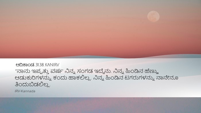 ಆದಿಕಾಂಡ 31:38 KANIRV Bible Verse Image