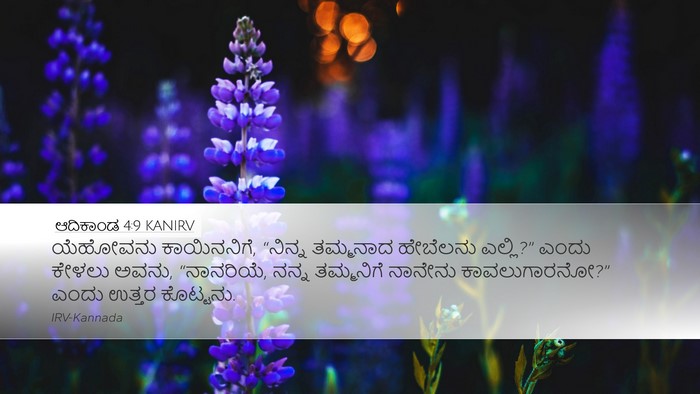 ಆದಿಕಾಂಡ 4:9 KANIRV Bible Verse Image