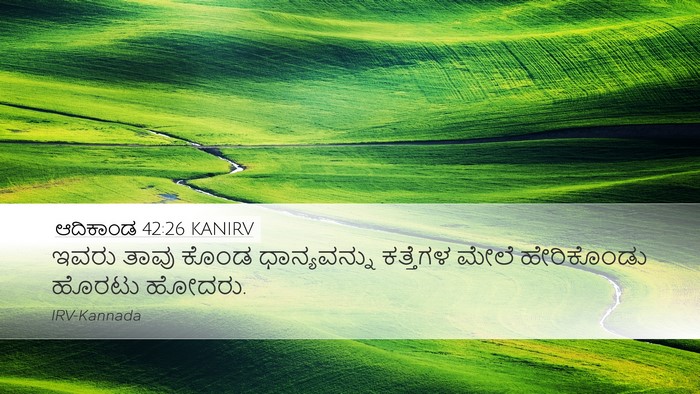 ಆದಿಕಾಂಡ 42:26 KANIRV Bible Verse Image