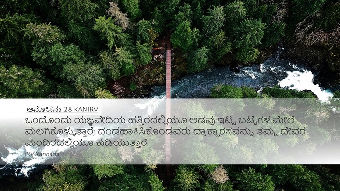 ಆಮೋಸನು 2:8 KANIRV Bible Verse Image