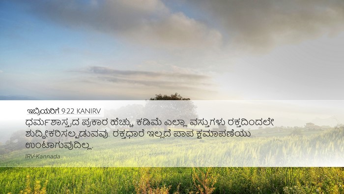 ಇಬ್ರಿಯರಿಗೆ 9:22 KANIRV Bible Verse Image