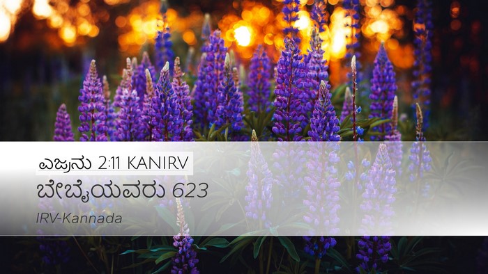 ಎಜ್ರನು 2:11 KANIRV Bible Verse Image
