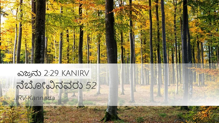 ಎಜ್ರನು 2:29 KANIRV Desktop Wallpaper - ನೆಬೋವಿನವರು - Desktop Bible Verse Wallpaper