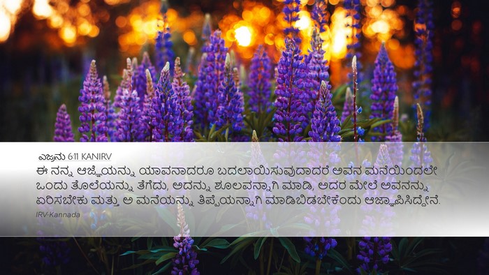 ಎಜ್ರನು 6:11 KANIRV Bible Verse Image