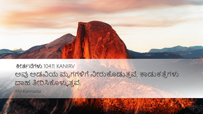 ಕೀರ್ತನೆಗಳು 104:11 KANIRV Desktop Wallpaper - ಅವು ಅಡವಿಯ - Desktop Bible Verse Wallpaper