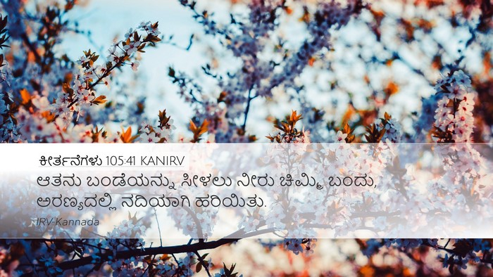 ಕೀರ್ತನೆಗಳು 105:41 KANIRV Bible Verse Image