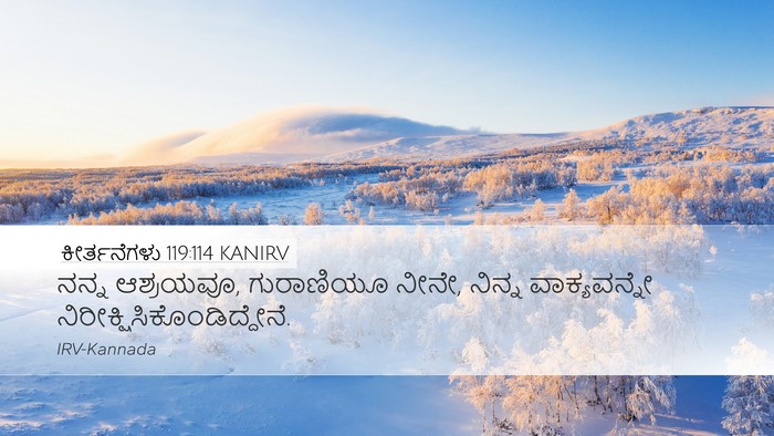 ಕೀರ್ತನೆಗಳು 119:114 KANIRV Bible Verse Image