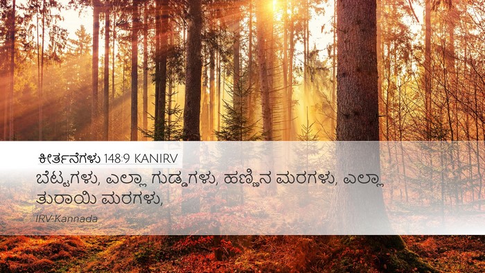ಕೀರ್ತನೆಗಳು 148:9 KANIRV Desktop Wallpaper - ಬೆಟ್ಟಗಳು, ಎಲ್ಲಾ - Desktop Bible Verse Wallpaper