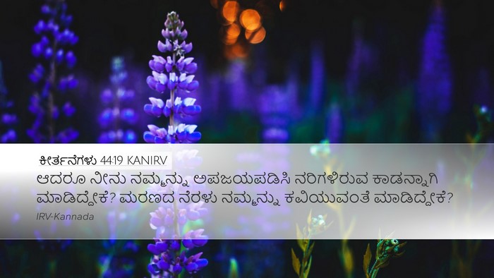 ಕೀರ್ತನೆಗಳು 44:19 KANIRV Desktop Wallpaper - ಆದರೂ ನೀನು - Desktop Bible Verse Wallpaper