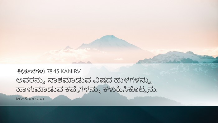 ಕೀರ್ತನೆಗಳು 78:45 KANIRV Desktop Wallpaper - ಅವರನ್ನು ನಾಶಮಾಡುವ - Desktop Bible Verse Wallpaper