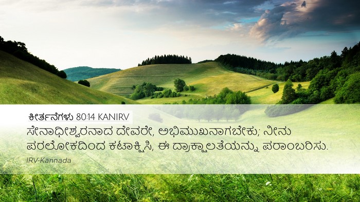 ಕೀರ್ತನೆಗಳು 80:14 KANIRV Bible Verse Image