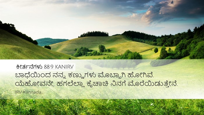 ಕೀರ್ತನೆಗಳು 88:9 KANIRV Bible Verse Image