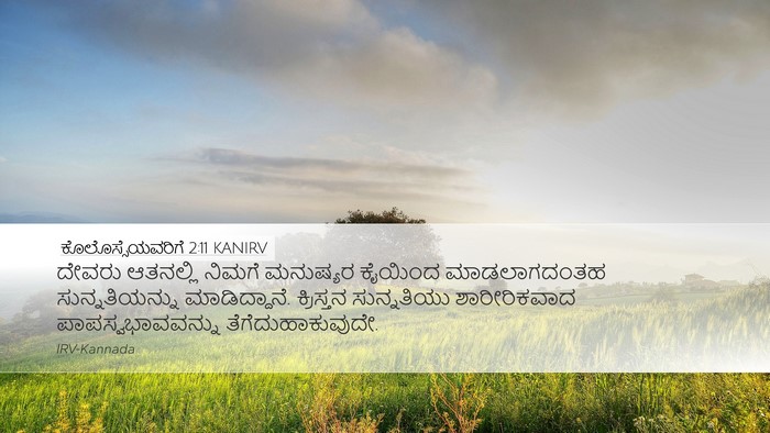 ಕೊಲೊಸ್ಸೆಯವರಿಗೆ 2:11 KANIRV Bible Verse Image