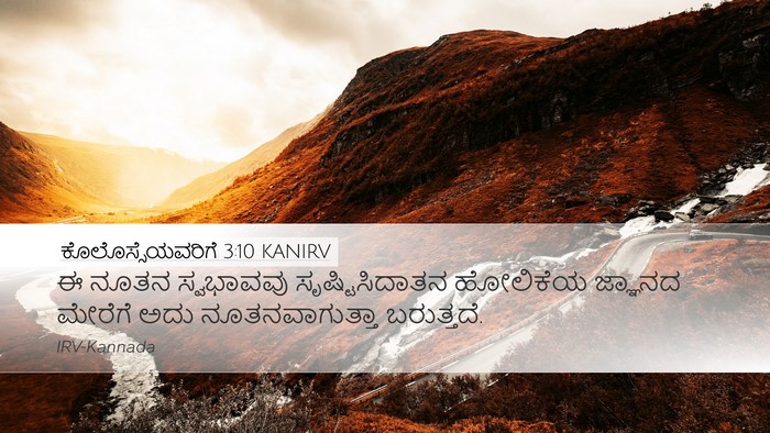 ಕೊಲೊಸ್ಸೆಯವರಿಗೆ 3:10 KANIRV Bible Verse Image