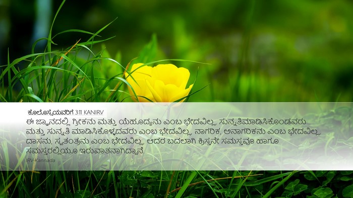 ಕೊಲೊಸ್ಸೆಯವರಿಗೆ 3:11 KANIRV Bible Verse Image