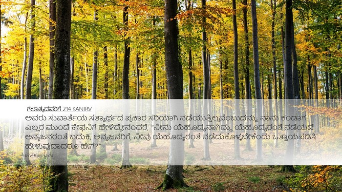 ಗಲಾತ್ಯದವರಿಗೆ 2:14 KANIRV Bible Verse Image