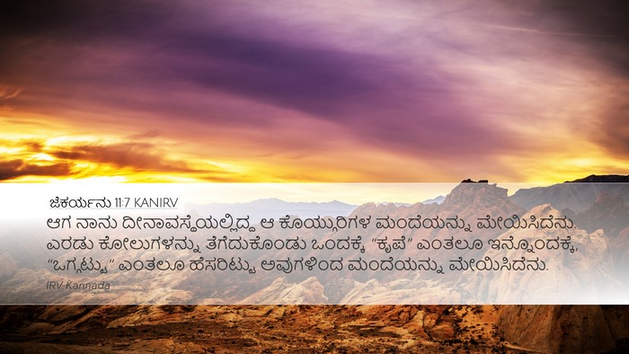 ಜೆಕರ್ಯನು 11:7 KANIRV Bible Verse Image